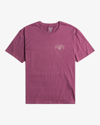 7 Arch Theme - T-shirt pour Homme  F1SS25BIF2 Billabong