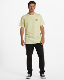 3 Arch Theme - T-Shirt voor Heren Green F1SS25BIF2 Billabong