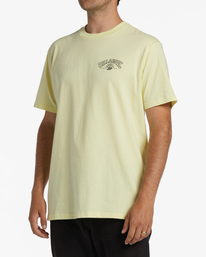 6 Arch Theme - T-Shirt voor Heren Green F1SS25BIF2 Billabong