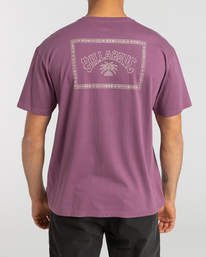 3 Arch Theme - T-shirt pour Homme  F1SS25BIF2 Billabong