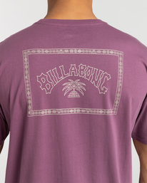 4 Arch Theme - T-shirt pour Homme  F1SS25BIF2 Billabong