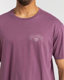 6 Arch Theme - T-shirt pour Homme  F1SS25BIF2 Billabong