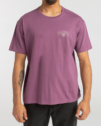 2 Arch Theme - T-shirt pour Homme  F1SS25BIF2 Billabong