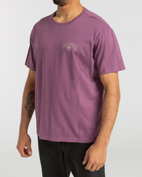 5 Arch Theme - T-shirt pour Homme  F1SS25BIF2 Billabong