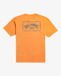 6 A/Div Arch - T-Shirt voor Heren Orange F1SS53BIF2 Billabong