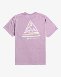 6 Peak - T- Shirt voor Heren Gray F1SS58BIF2 Billabong