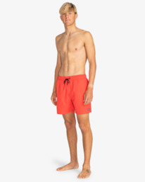 1 All Day Laybacks 16" - Boardshort pour Homme Marron S1LB12BIP0 Billabong