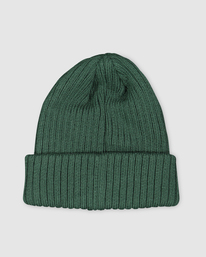 1 Boys Arcade Beanie  UBBHA00116 Billabong