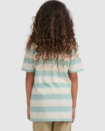 billabong, Boy's Hector Stripe Short Sleeve T-Shirt, CHINO (chi) BOYS HECTOR CREW UBBKT00102