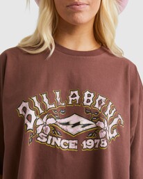 3 Throwback Crop T-Shirt Brown UBJZT00302 Billabong