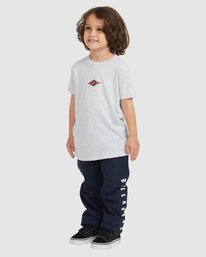 1 Boy's (2-7) Groms Diamond Wave Short Sleeve T-Shirt Grey UBTZT00117 Billabong