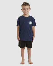 0 Boys 2-7 Flame T-Shirt Blue UBTZT00162 Billabong