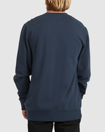 Overdyed Crewneck Sweatshirt | Billabong