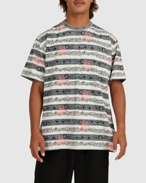 1 Skegss Halfrack - T-Shirt voor Heren Gray UBYKT00126 Billabong