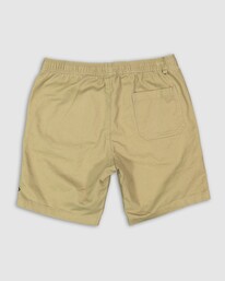 5 Beach Days Layback Twill Elastic Waist Walkshorts 18.5" Brown UBYWS00112 Billabong