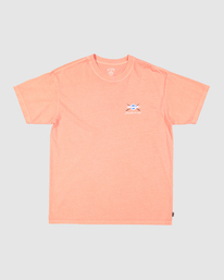 5 Bong Days Short Sleeve T-Shirt Orange UBYZT00163 Billabong