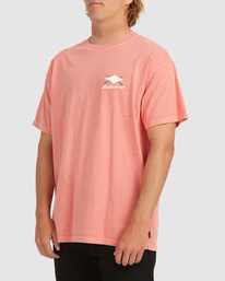 2 Bong Days Short Sleeve T-Shirt Orange UBYZT00163 Billabong