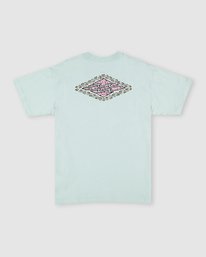 6 Crayon Wave T-Shirt  UBYZT00285 Billabong