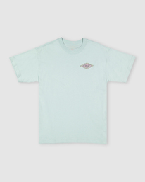 5 Crayon Wave T-Shirt  UBYZT00285 Billabong