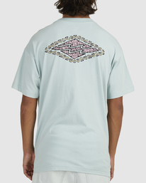3 Crayon Wave T-Shirt  UBYZT00285 Billabong