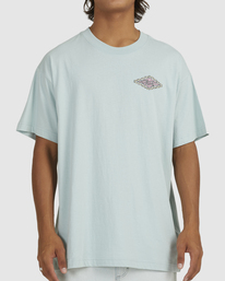 1 Crayon Wave T-Shirt  UBYZT00285 Billabong