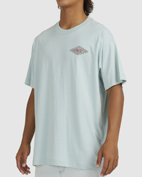 2 Crayon Wave T-Shirt  UBYZT00285 Billabong