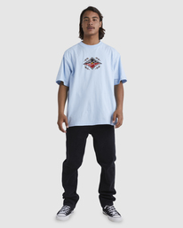 2 Otis Diamond - T-Shirt for Men Blue UBYZT00416 Billabong