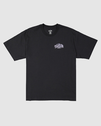 5 Throwback Arch T-Shirt Black UBYZT00427 Billabong