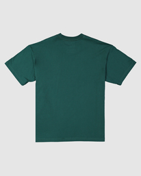 5 Larry T-Shirt Blue UBYZT00429 Billabong