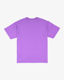 5 Logo T-Shirt Purple UBYZT00572 Billabong