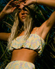 LEMON LIME (0227)