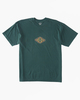 DEEP TEAL (dta)
