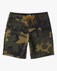 CAMO (cmm)