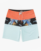 Tribong Pro - Performance Board Shorts for Men  ABYBS00389
