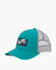 DEEP TEAL (dta)