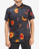 BLACK MULTI (bml)