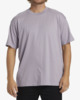PURPLE ASH (skw0)