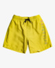All Day Heritage Layback - Board Shorts for Boys 8-16  EBBJV00103