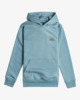 Arch Dreamy Place - Hoodie for Boys 8-16  EBBSF00111