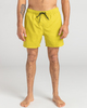 All Day Layback - Board Shorts for Men  EBYJV00104