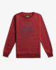 Stamp - Sweatshirt for Boys 8 - 14  F2CR03BIF2
