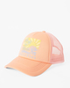 PEACH PIT (mel0)