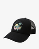 BLACK/GREEN (bgn)