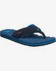 NAVY (nvy)