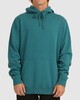 DEEP TEAL (dta)