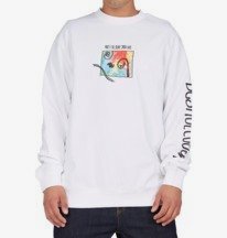 Any Colour - Crew Neck Sweatshirt for Men  ADYSF03060