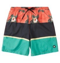 Dc swim trunks Outlet