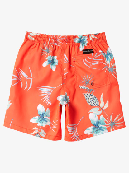 Quiksilver sales boys shorts