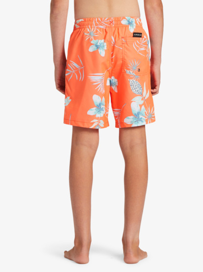 Quiksilver everyday 2025 swim shorts