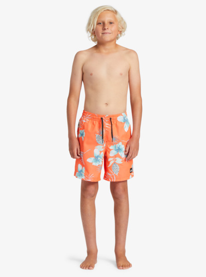 Quiksilver boys clearance shorts